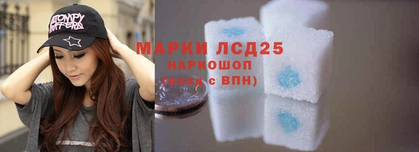 ПСИЛОЦИБИНОВЫЕ ГРИБЫ Новодвинск
