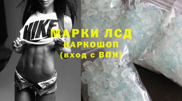 ПСИЛОЦИБИНОВЫЕ ГРИБЫ Новодвинск