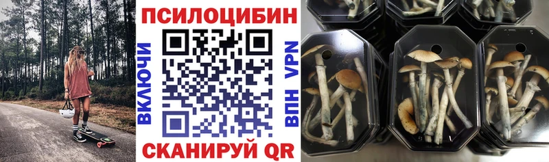 блэк спрут как войти  Северодвинск  площадка формула  наркошоп  Псилоцибиновые грибы мухоморы 