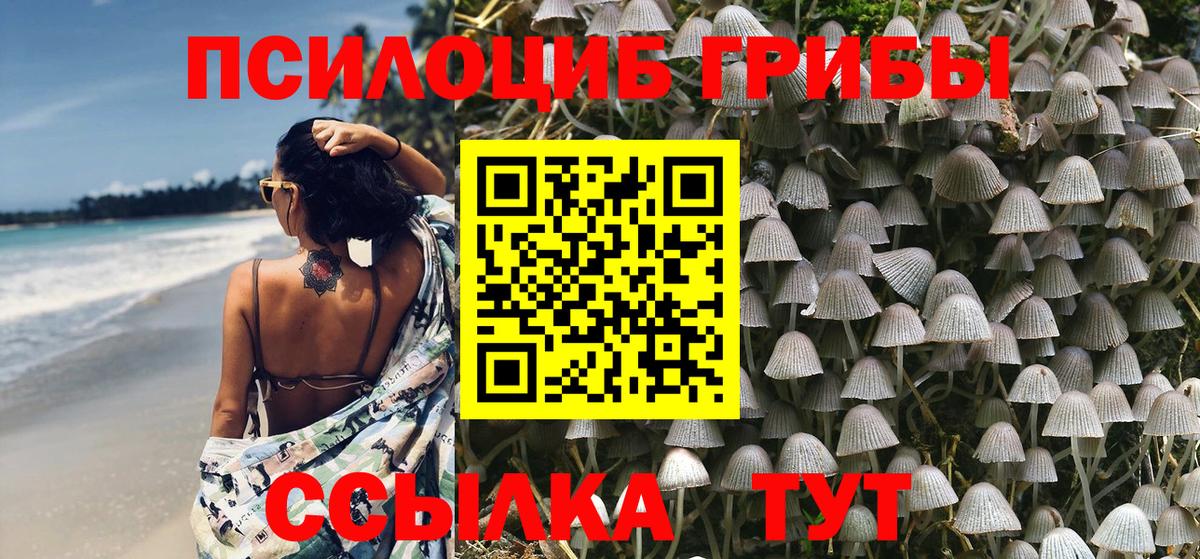 Псилоцибиновые грибы Psilocybe  Псилоцибиновые грибы мухоморы  Северодвинск 