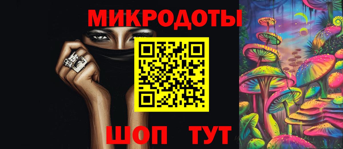 Галлюциногенные грибы Psilocybe Северодвинск
